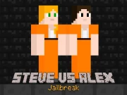 Steve vs Alex Jailbreak Online Arcade Games on NaptechGames.com