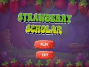 Strawberry Scholar Pro Online educational Games on NaptechGames.com