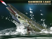 Summer lake 1.5 Online Sports Games on NaptechGames.com