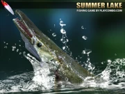 Summer lake Online Sports Games on NaptechGames.com