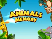 Super Animal Memory Online Puzzle Games on NaptechGames.com