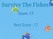 Survive The Fishes Online Hypercasual Games on NaptechGames.com