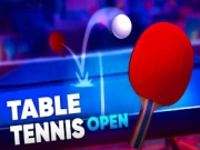 Table Tennis Open Online sports Games on NaptechGames.com
