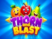 Thorn and Blast Online casual Games on NaptechGames.com
