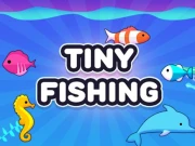 Tiny Fishing Masters Online Hypercasual Games on NaptechGames.com