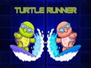 Turtle Runner Online two-player Games on NaptechGames.com