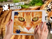 Unlimited Jigsaw Puzzles Online Puzzle Games on NaptechGames.com