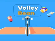 Volley Bean Online Sports Games on NaptechGames.com