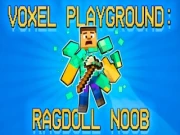 Voxel Playground - Ragdoll Noob Online casual Games on NaptechGames.com