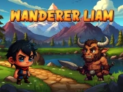 Wanderer Liam Online Hypercasual Games on NaptechGames.com