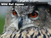 Wild owl Jigsaw Online Puzzle Games on NaptechGames.com