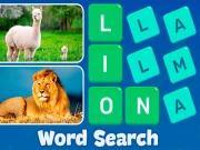 Word Search - Fun Puzzle Games Online Puzzle Games on NaptechGames.com