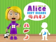 World of Alice Body Organs Online Puzzle Games on NaptechGames.com