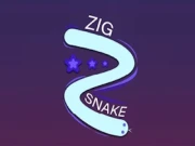 Zig Snake Online hyper-casual Games on NaptechGames.com
