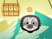 Zoo Slings Online Puzzle Games on NaptechGames.com