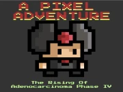A Pixel Adventure Vol1 Online Adventure Games on NaptechGames.com