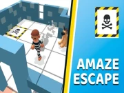 Amaze Escape Online Adventure Games on NaptechGames.com