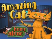Amazing Cat Online Casual Games on NaptechGames.com