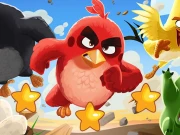 Angry Birds Hidden Stars Online Puzzle Games on NaptechGames.com