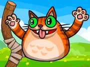 Angry Cat Shot Online Shooting Games on NaptechGames.com