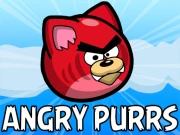 Angry Purrs Online Sports Games on NaptechGames.com