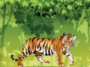 Angry Tiger Coloring Online Puzzle Games on NaptechGames.com