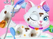 Animal Daycare Pet Doctor Online Puzzle Games on NaptechGames.com