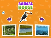 Animal House game Online Puzzle Games on NaptechGames.com