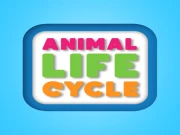 Animal Life Cycle Online HTML5 Games on NaptechGames.com