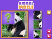 Animal Puzzle Online Puzzle Games on NaptechGames.com