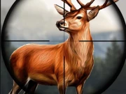 Animal Safari Hunter 2020 Online Shooter Games on NaptechGames.com