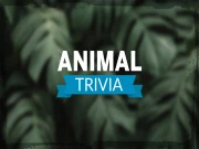 Animal Trivia Online Puzzle Games on NaptechGames.com