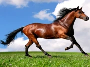 Animals Jigsaw Puzzle - Horses Online Puzzle Games on NaptechGames.com