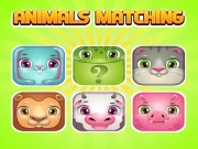 Animals Memory Matching Online Puzzle Games on NaptechGames.com