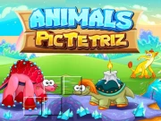 Animals Pic Tetriz Online Puzzle Games on NaptechGames.com
