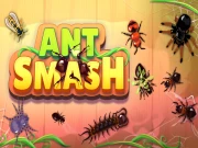 Ant Smash Online Casual Games on NaptechGames.com
