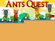 Ants Quest Online Arcade Games on NaptechGames.com