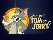 Are You Tom or Jerry? Online Puzzle Games on NaptechGames.com