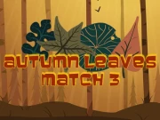 Autumn Leaves Match 3 Online Puzzle Games on NaptechGames.com