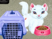 Baby Taylor Pet Care - Save Cute Animals Online Hypercasual Games on NaptechGames.com