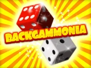 Backgammonia, Free Online Backgammon Gam Online Art Games on NaptechGames.com