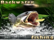 Backwater Fishing Online Simulation Games on NaptechGames.com