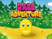 Ball Adventure Online puzzles Games on NaptechGames.com