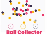 Ball Collector Online Puzzle Games on NaptechGames.com
