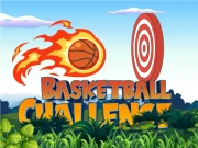 Basketball Challenge Online Game Online Sports Games on NaptechGames.com