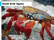 Beach Crab Jigsaw Online Puzzle Games on NaptechGames.com