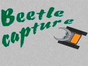 Beetle capture Online Casual Games on NaptechGames.com