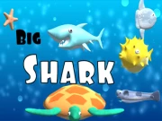 Big Shark Online arcade Games on NaptechGames.com