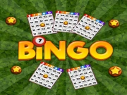 Bingo Revealer Online Casual Games on NaptechGames.com