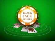 Blackjack Master Online Arcade Games on NaptechGames.com